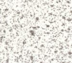 Speckled White Trespa Toplab base