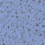 Speckled Powder Blue Trespa TopLab Base