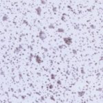 Speckled Icey Blue Trespa TopLab base