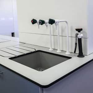 laboratory sinks
