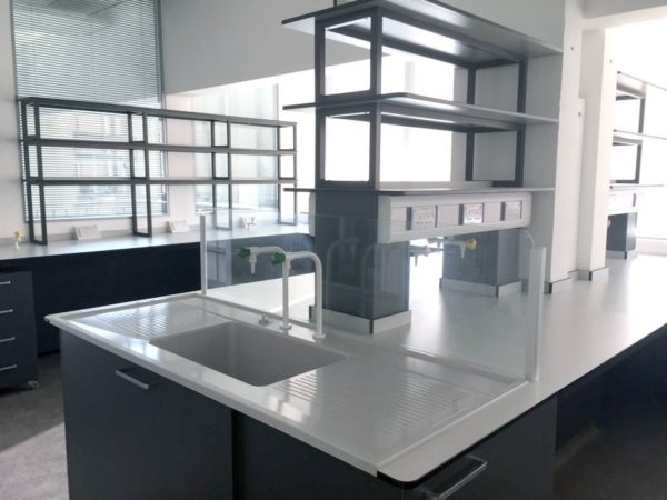 peninsular lab sink area