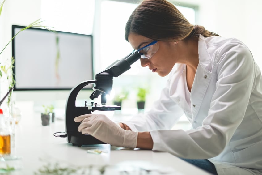 Young scientist doing a research