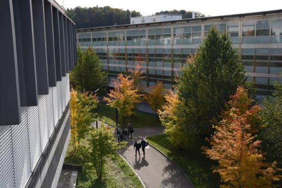 Trees outside a laboratory
