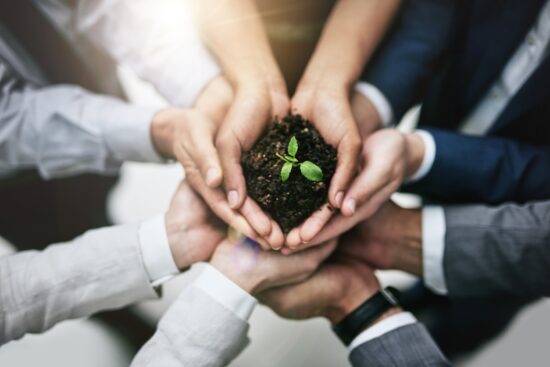 generating growth stem growing in soil