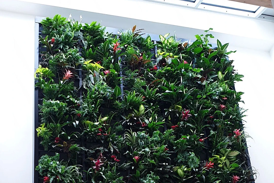 bicycle tx living wall