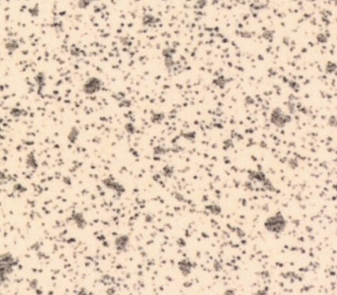 Speckled Sand Trespa TopLab Base